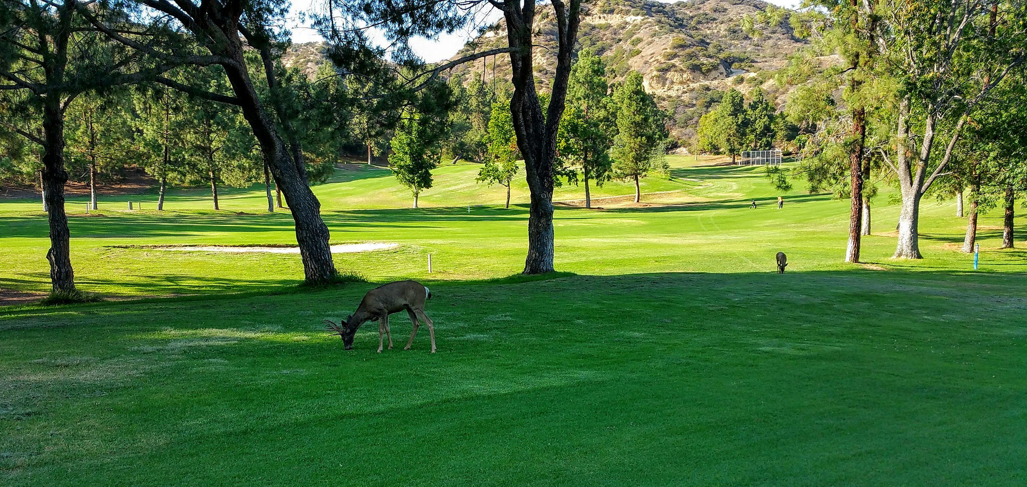 Korhonen kirkkaasti jatkoon, Iloselle ensimmäinen karsiutuminen - GoGolf